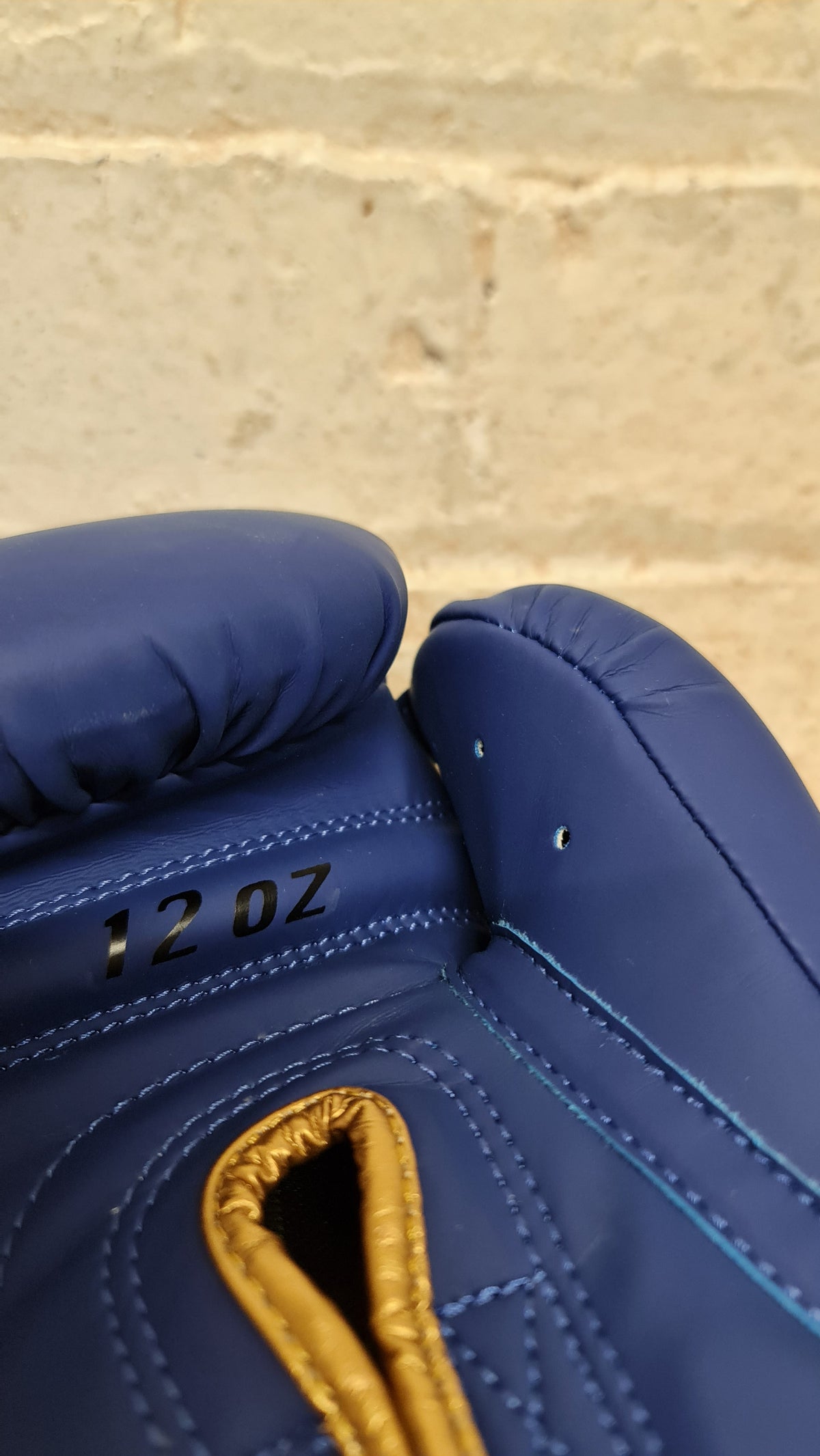 CMX boxing gloves - Blue