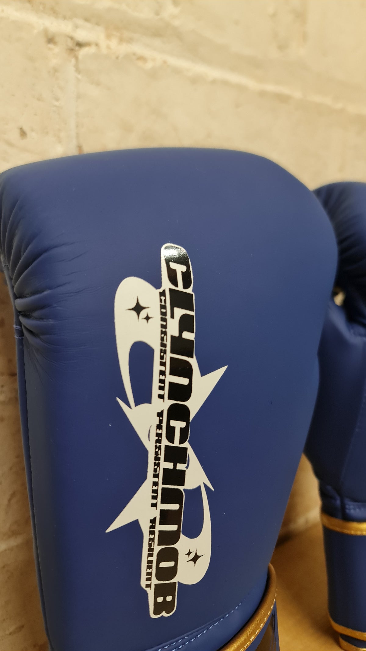 CMX boxing gloves - Blue