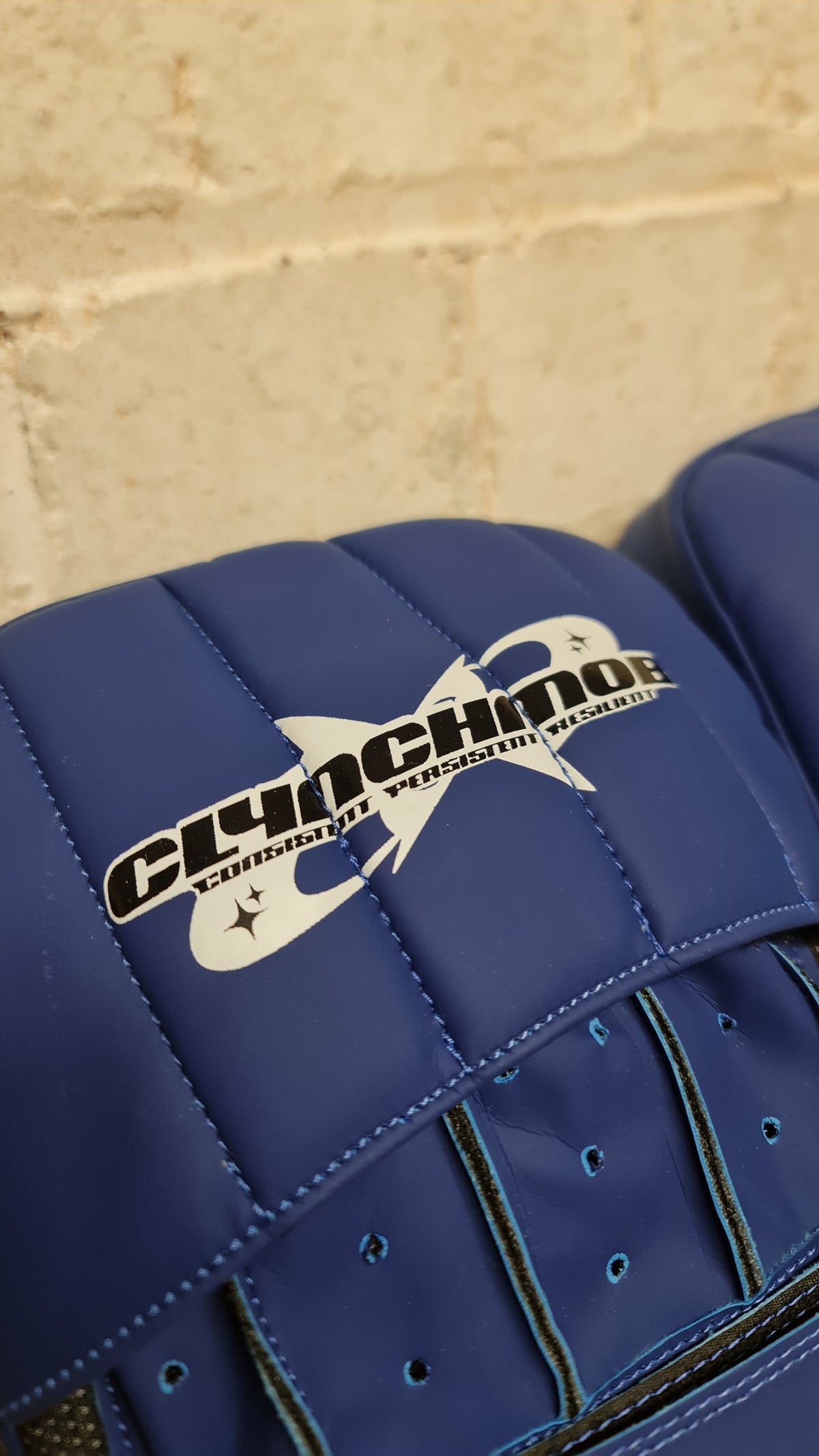 CMX focus pads - Blue